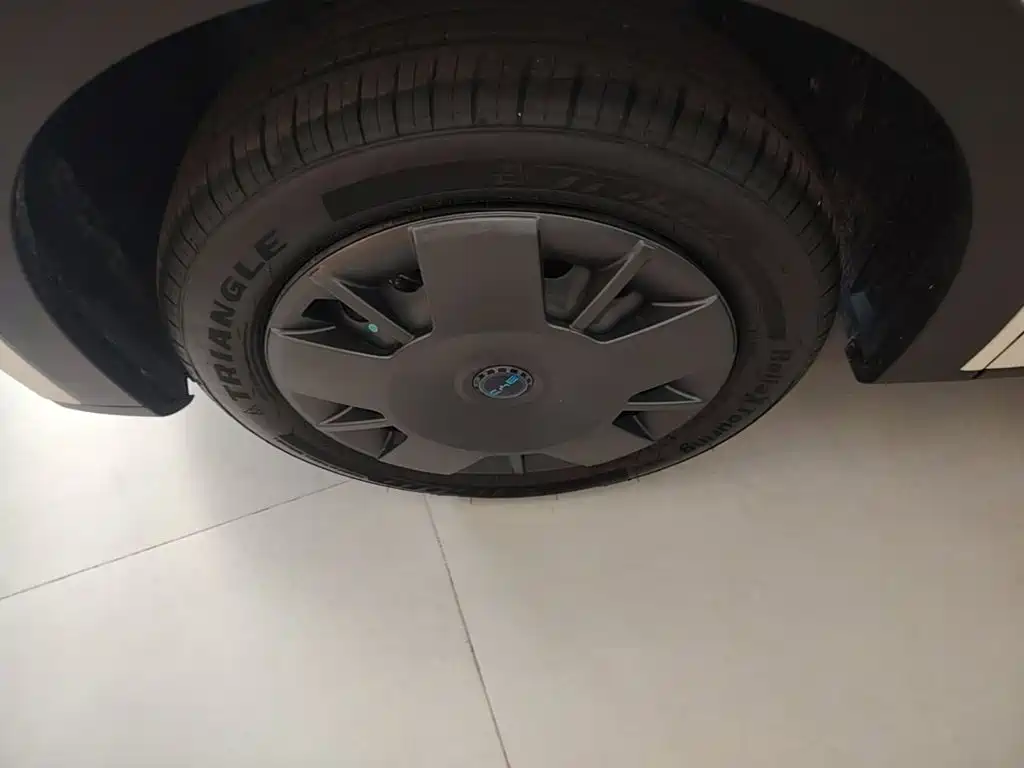 BYD Seagull 2026 2025 Smart Drive Edition 305km Vitality Version
