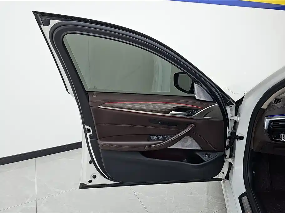 BMW 5 Series 2021 530Li Leading Luxury Package фото 7