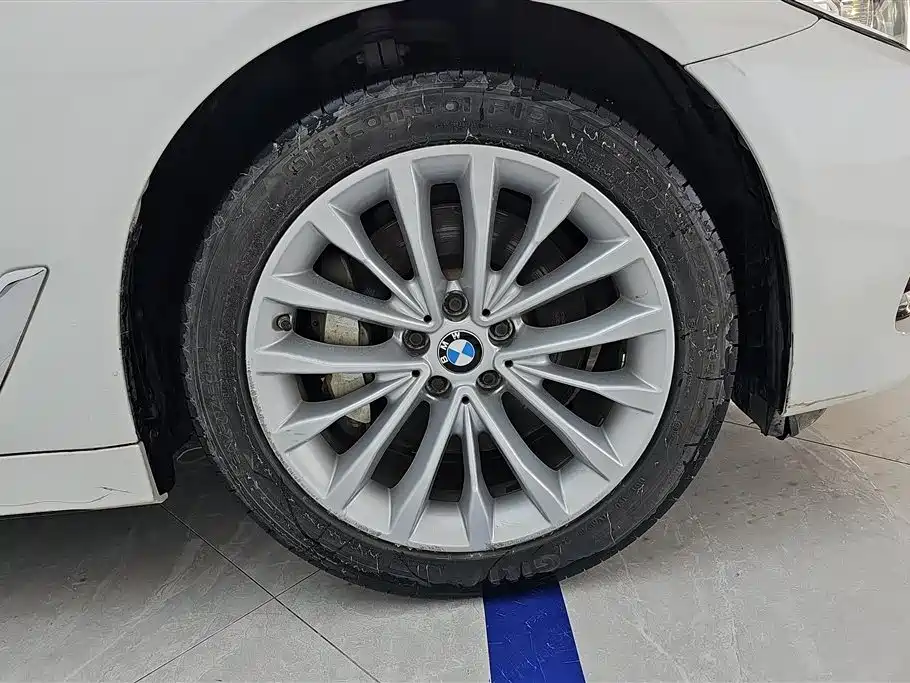 BMW 5 Series 2021 530Li Leading Luxury Package фото 6