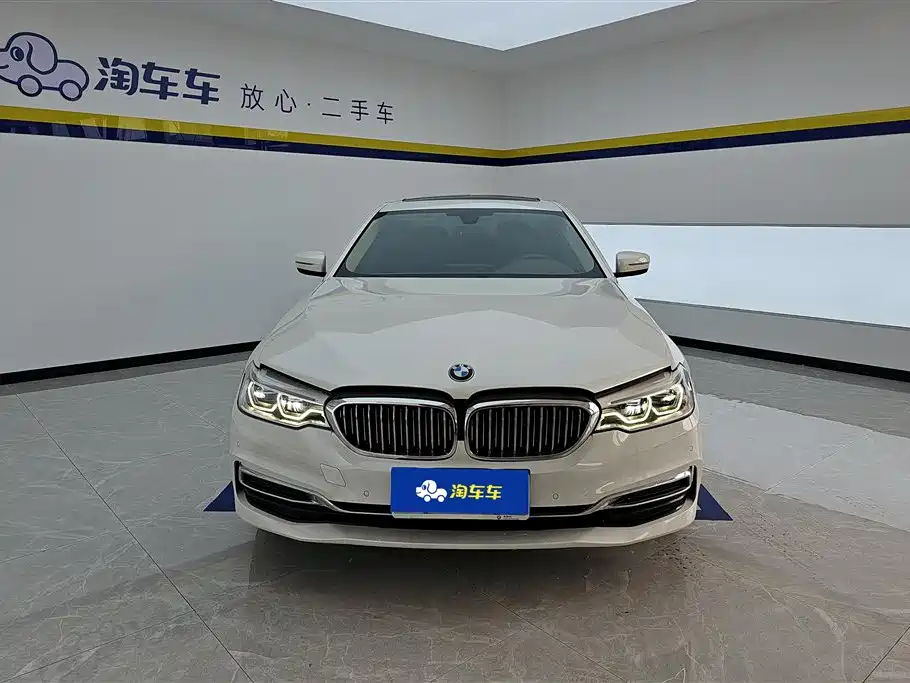 BMW 5 Series 2021 530Li Leading Luxury Package фото 2