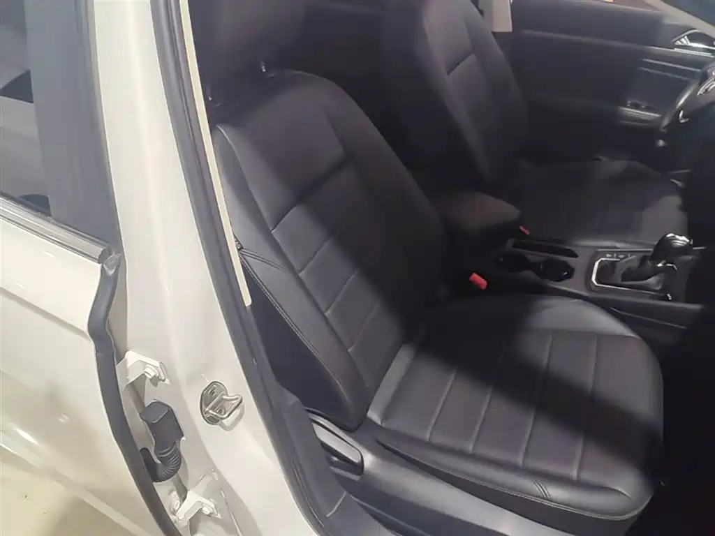 Volkswagen VW Lavida EV 2019 Premium Edition фото 25