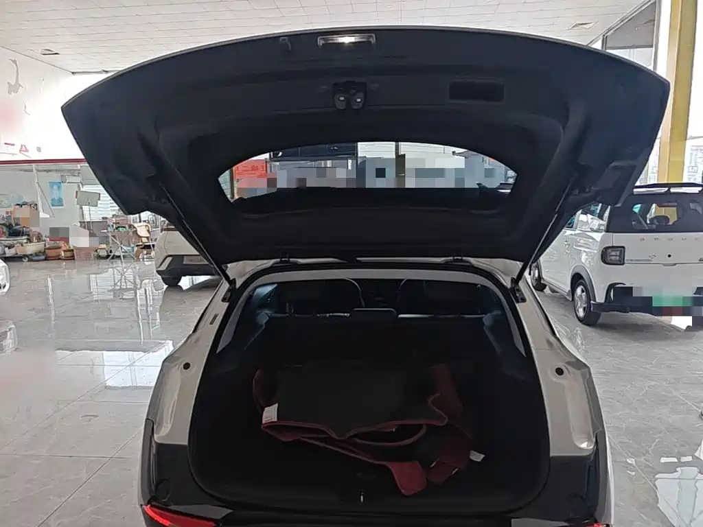 Buick Velite 6 2024 2024 Model 430km Premium Edition