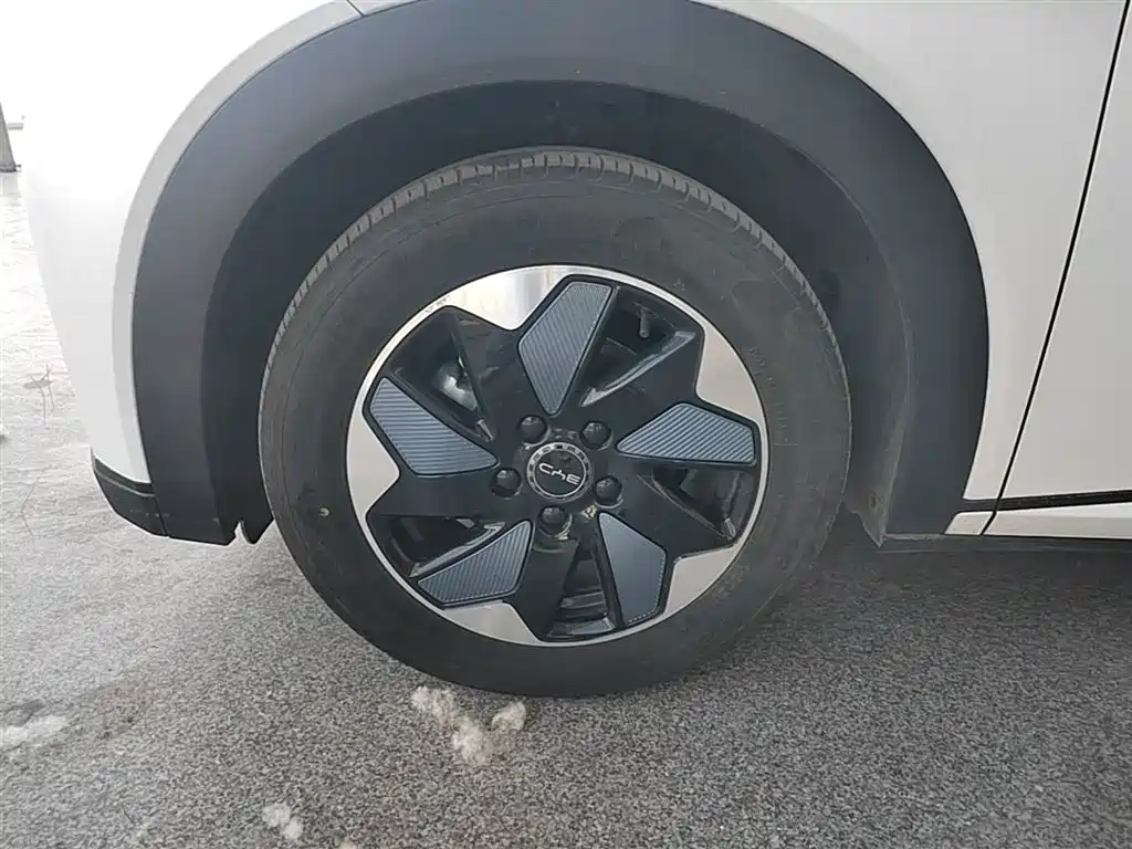 BYD Dolphin 2024 Glory Edition 420km Fashion Edition фото 25
