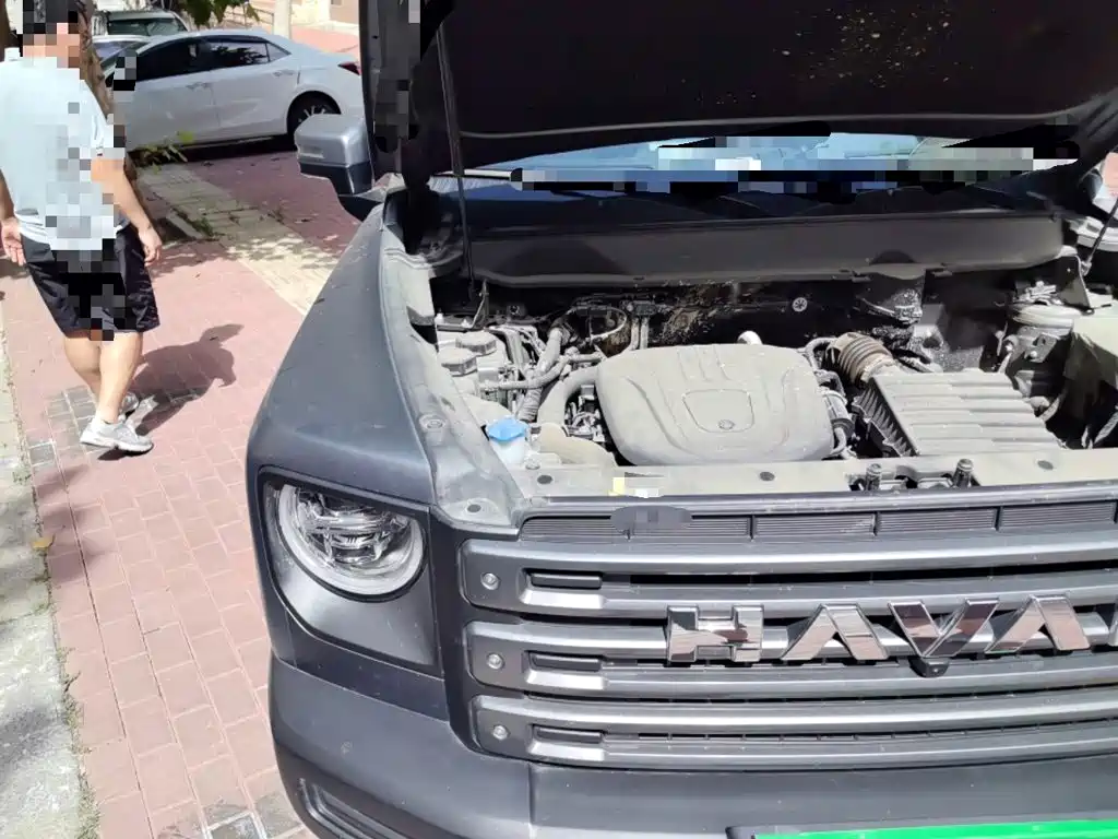 Haval Meng Long NEV 2025 2024 Hi4 145 Pro