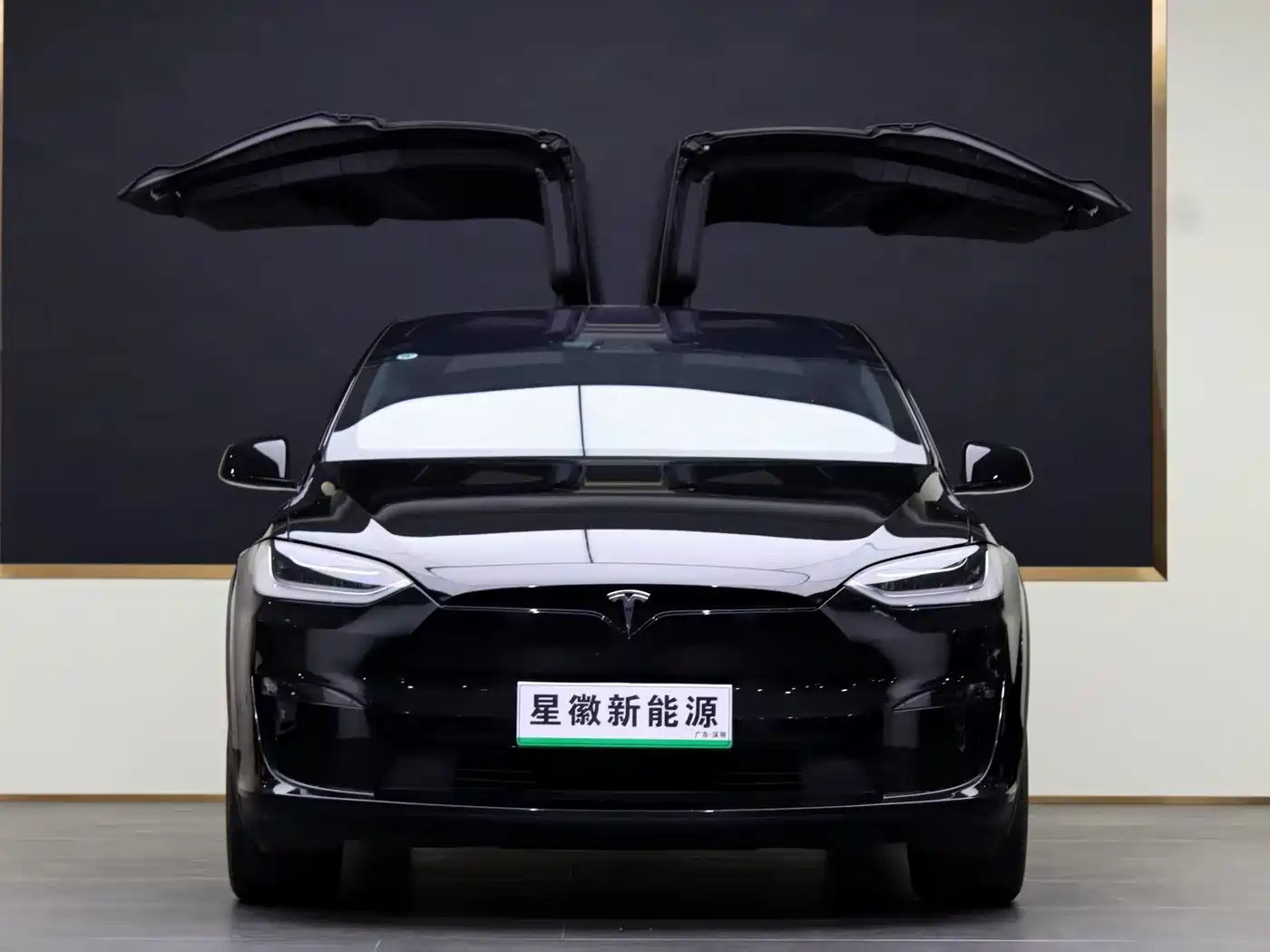 Tesla Model X 2023 2023 Dual Motor All-Wheel Drive Edition