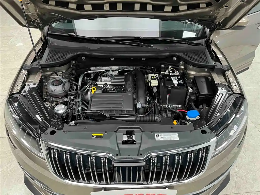 Škoda Karoq 2025 TSI280 Luxury Edition фото 21