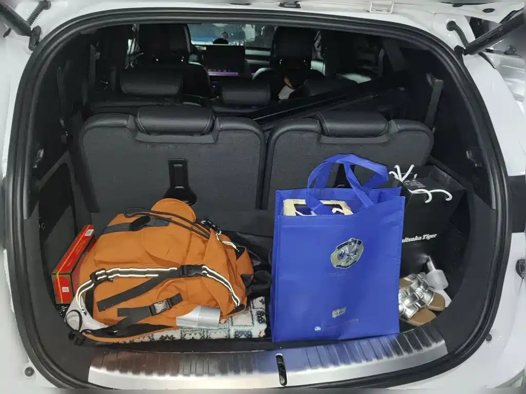Denza X 2021 2020 Model PHEV Flagship Edition
