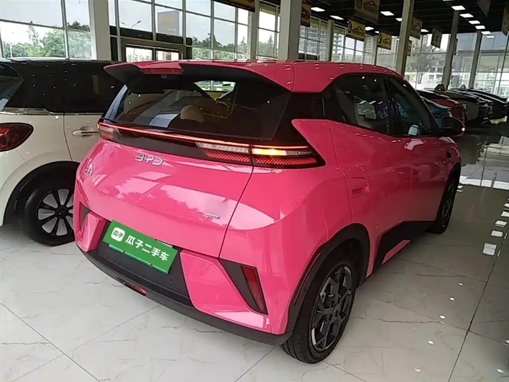 BYD Seagull 2025 Smart Drive Edition 305km Freedom Version фото 7