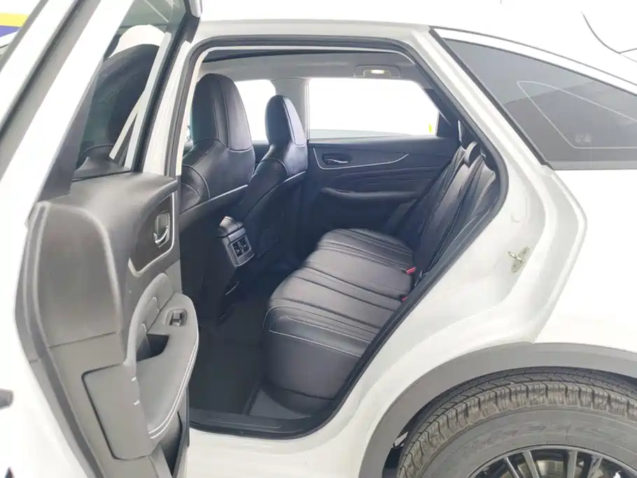 Venucia Big V 2023 2022 260T Dark Horse Edition·Idol