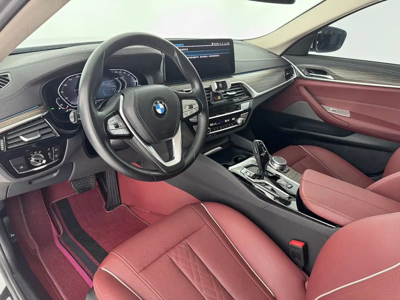 BMW 5 SERIES NEW ENERGY