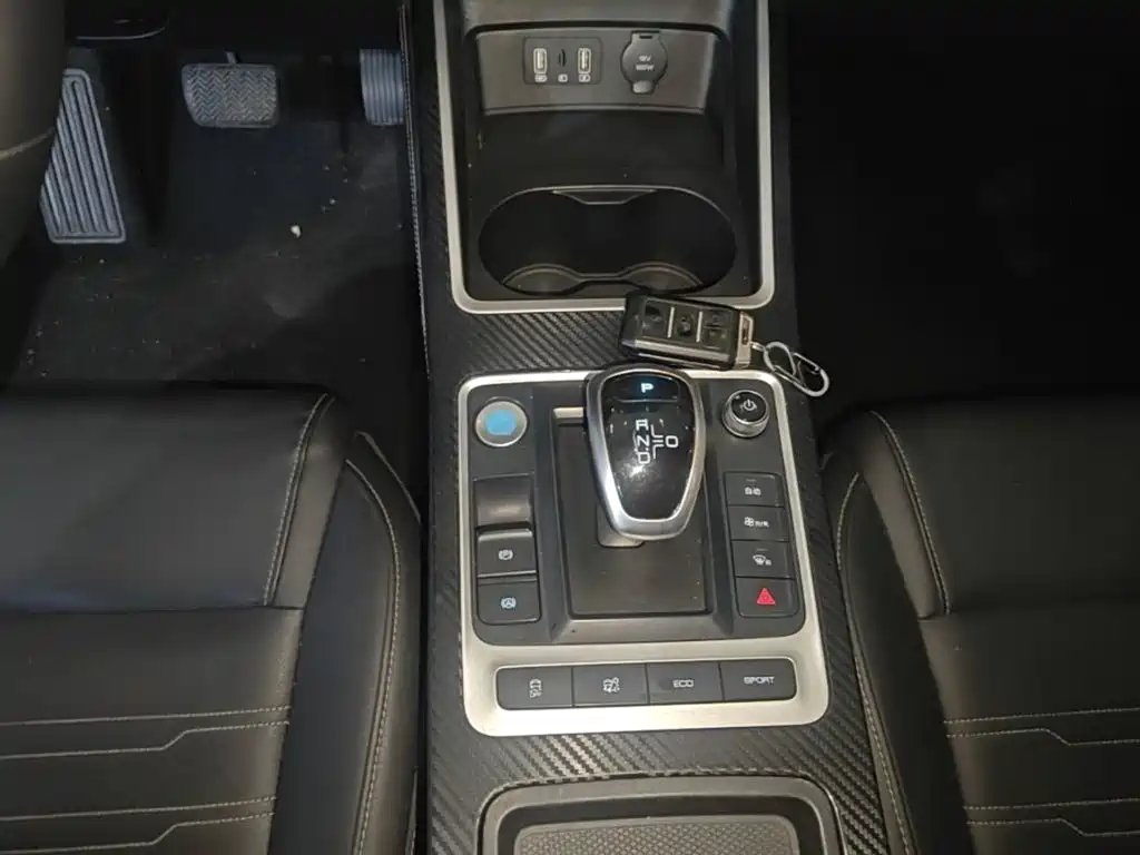 BYD Qin New Energy 2020 2019 Long Range Edition Premium