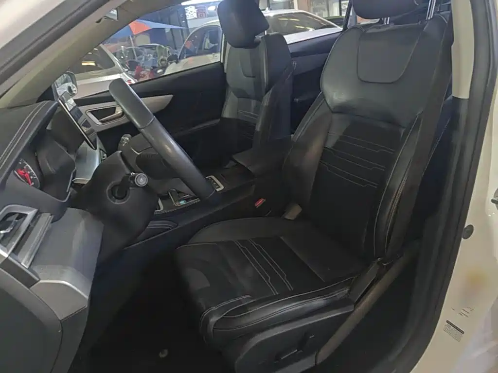 BYD Qin New Energy 2020 2019 Long Range Edition Premium