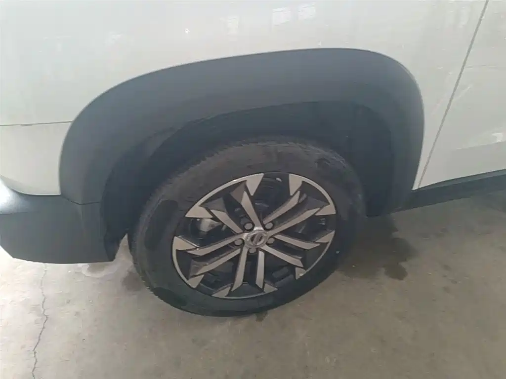 Haval Big Dog 2021 1.5T DCT 2WD Border Collie Edition фото 23