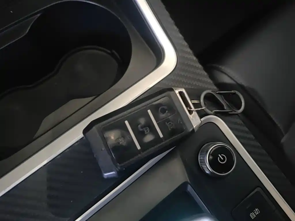 BYD Qin New Energy 2020 2019 Long Range Edition Premium