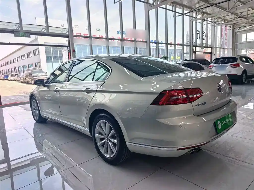 Volkswagen Magotan 2018 330TSI DSG Leading фото 10