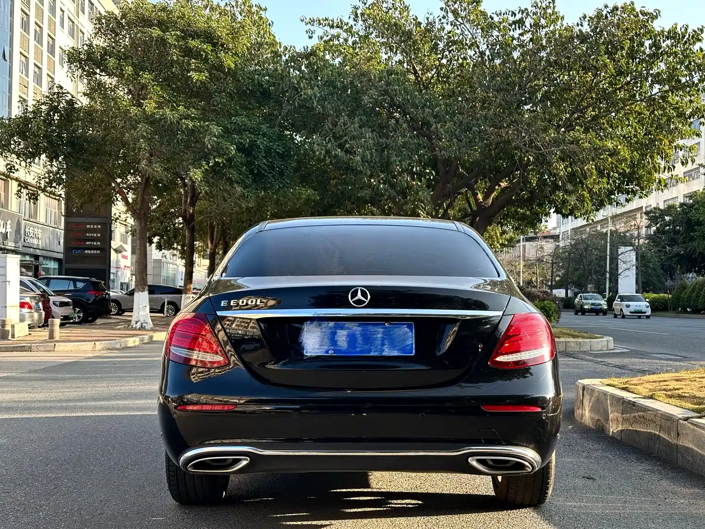 Mercedes-Benz E-Class 2018 E 200 L 4MATIC фото 9