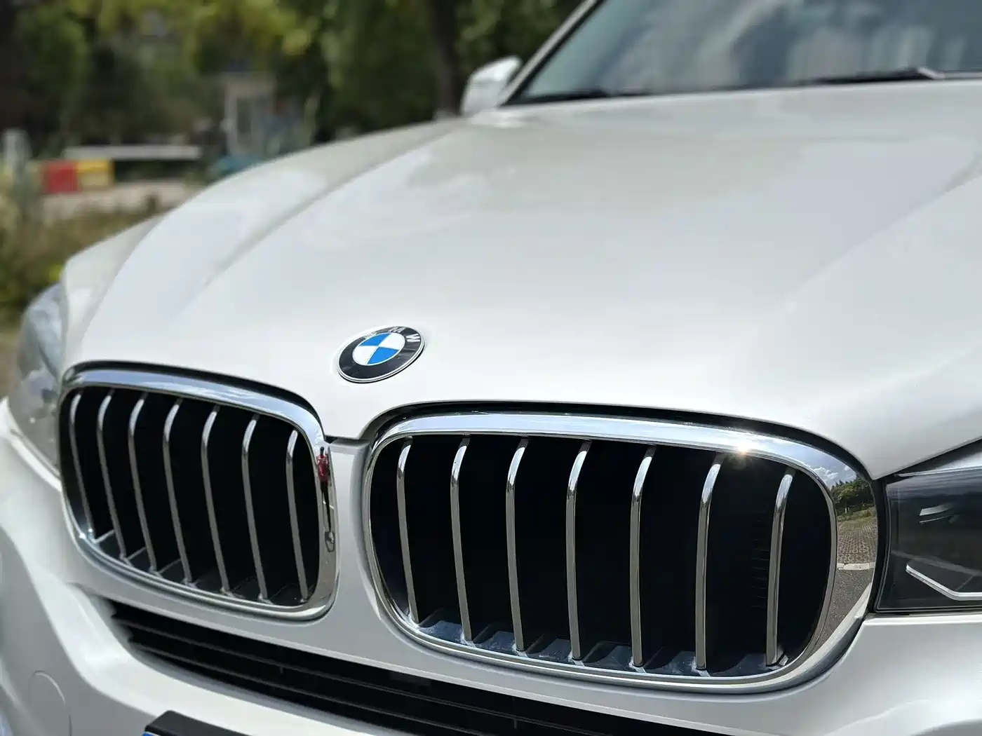 BMW X5 (Import) 2017 xDrive28i фото 5