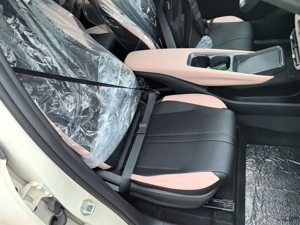 BYD Seagull 2025 Smart Drive Edition 305km Vitality Version фото 25