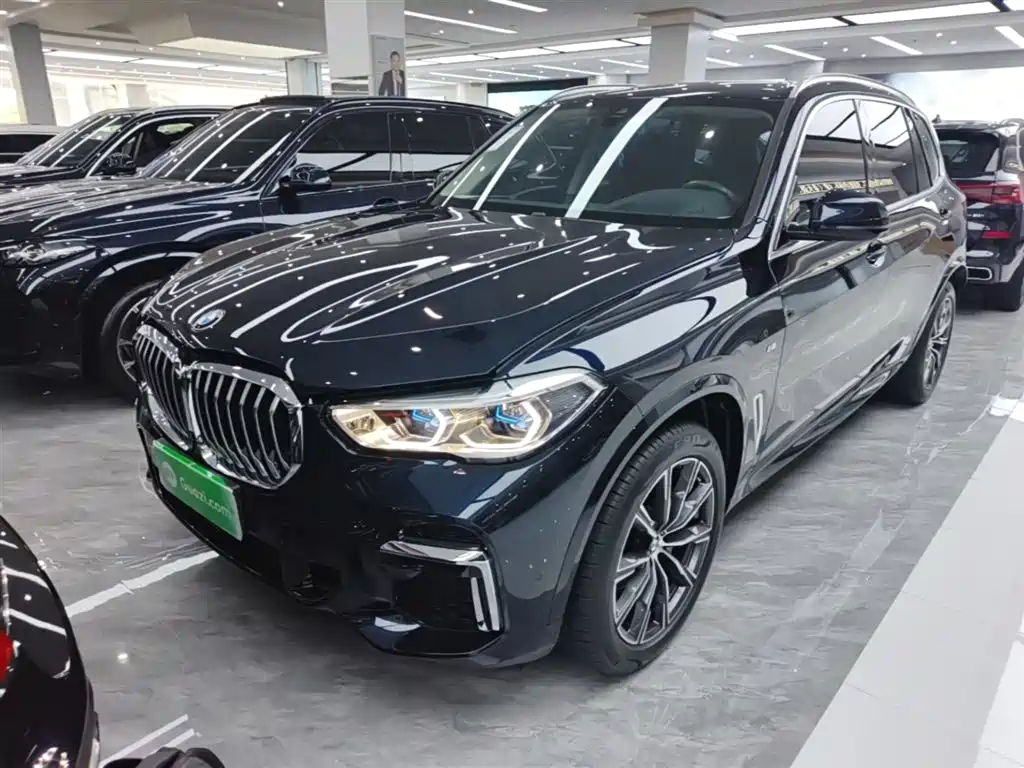 BMW X5 2022 Facelift xDrive 30Li Premium M Sport Package фото 2