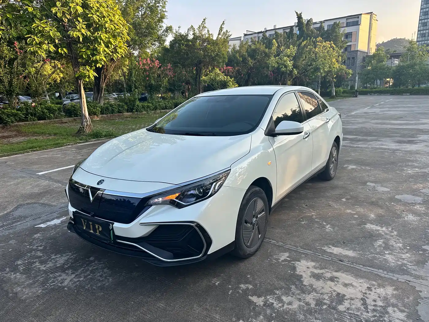 2024 Venucia D60EV