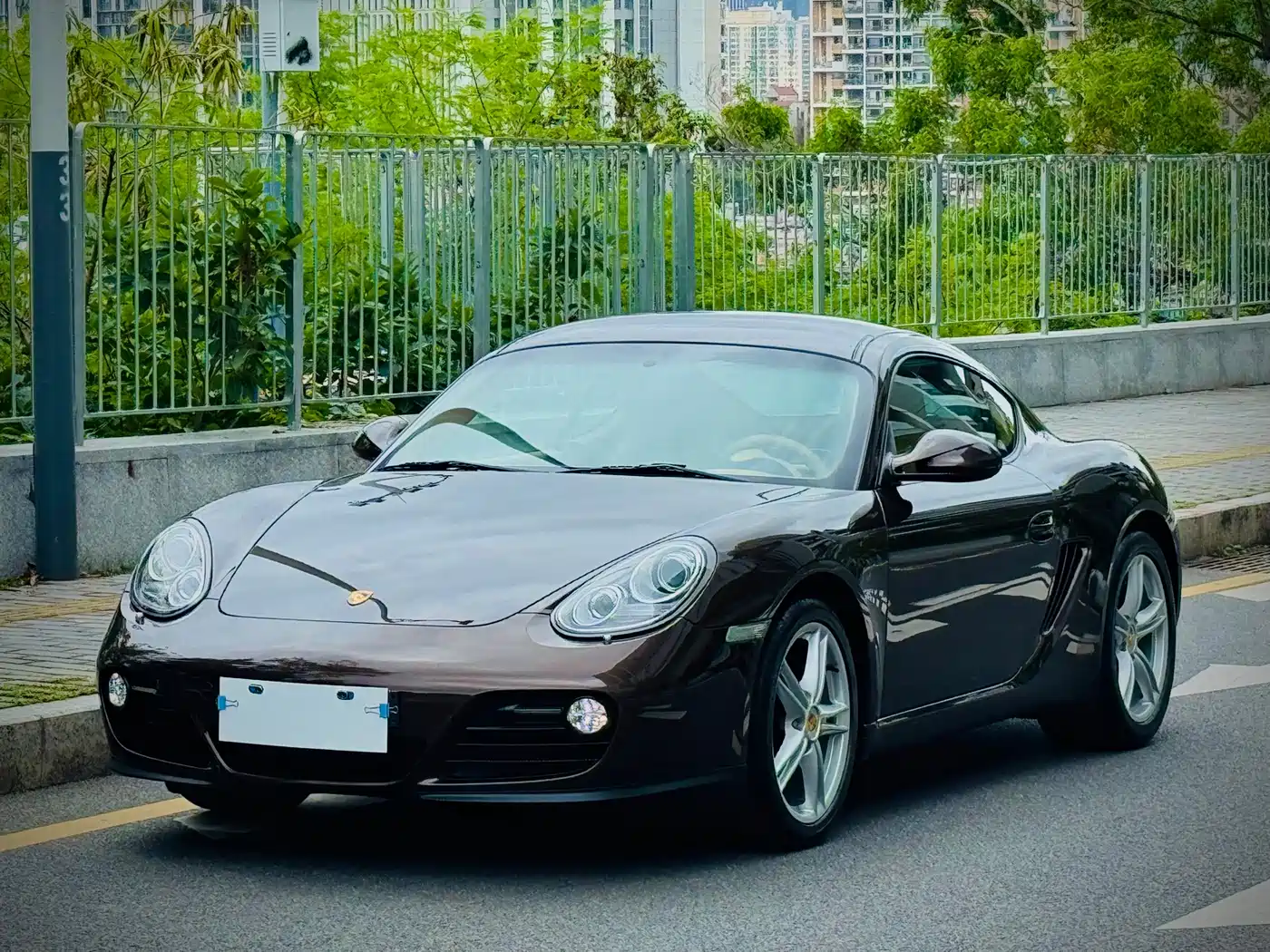 Porsche Cayman 2009 Cayman 2.9L