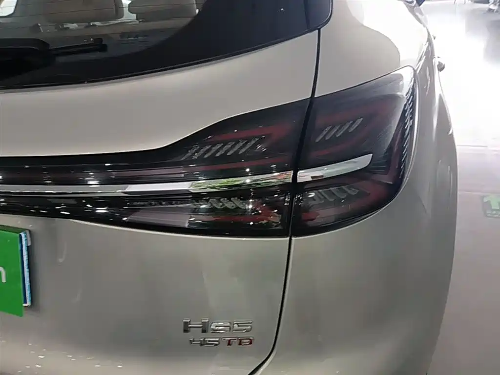 Hongqi HS5 2023 2.0T 4WD Flag Leader Pro фото 8