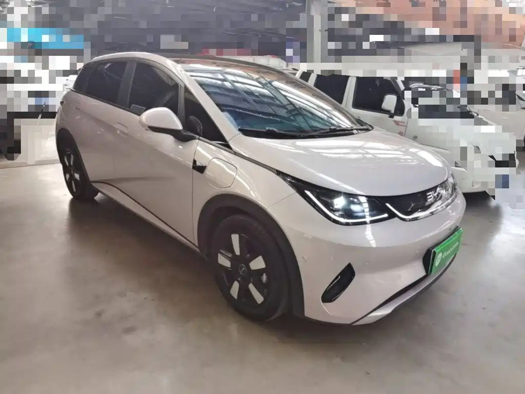 Фото 4 - BYD Dolphin