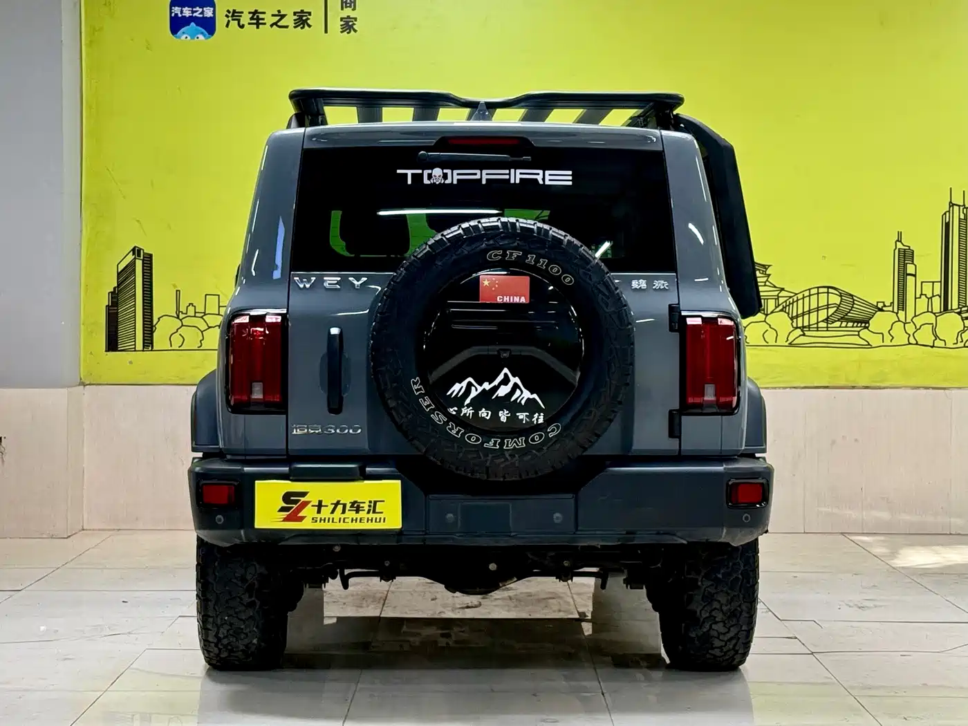 Tank 300 2021 2021 Off-road Version 2.0T Conqueror