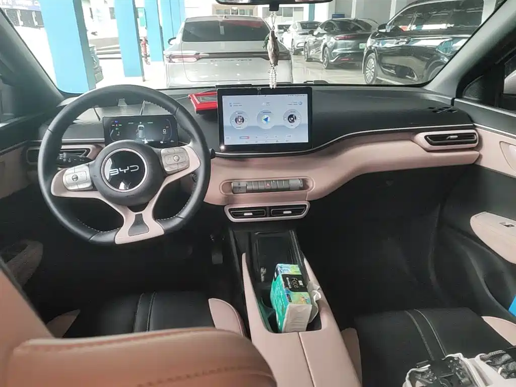 BYD Seagull 2024 Glory Edition 405km Soaring Edition фото 10