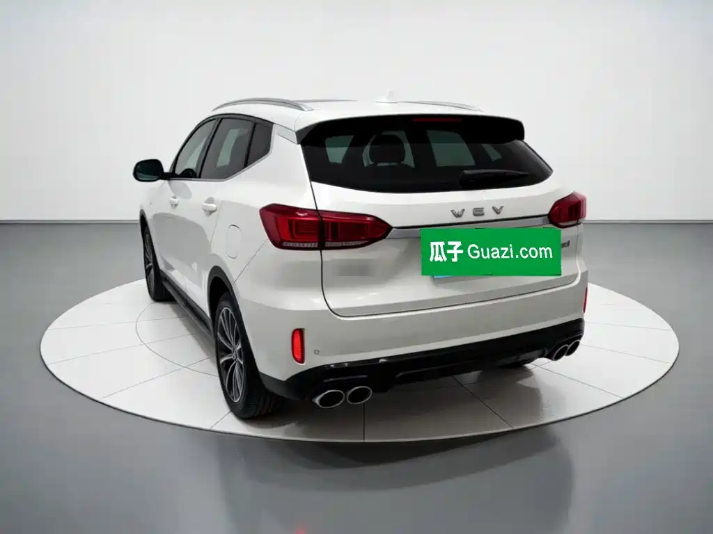 WEY VV6 2019 2018 2.0T 2WD Super Luxury China V