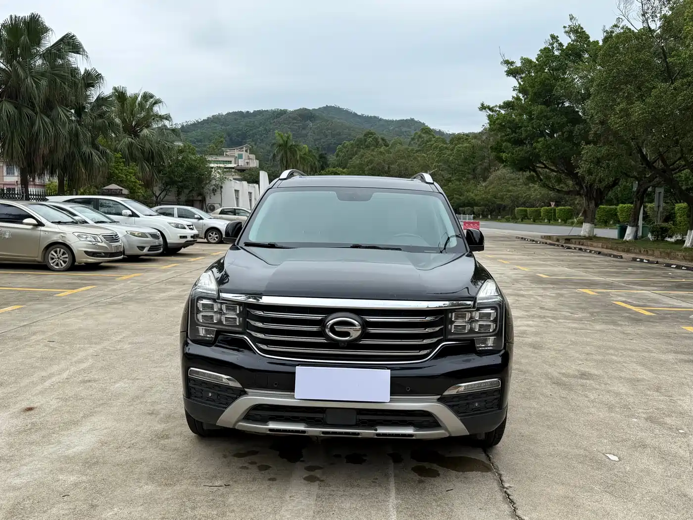 GAC Trumpchi Trumpchi GS8 2017 320T 2WD Luxury Smart Connect (7-seater) фото 2