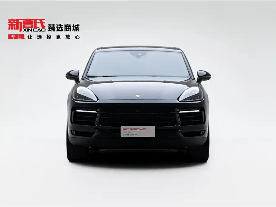 Porsche Cayenne 2022 Cayenne 3.0T Platinum Edition фото 2