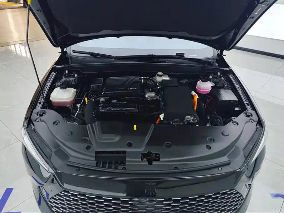 BYD Qin PLUS 2024 Glory Edition DM-i 55KM Leading фото 10