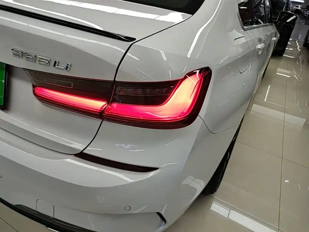BMW 3 Series 2020 325Li xDrive M Sport Package фото 8