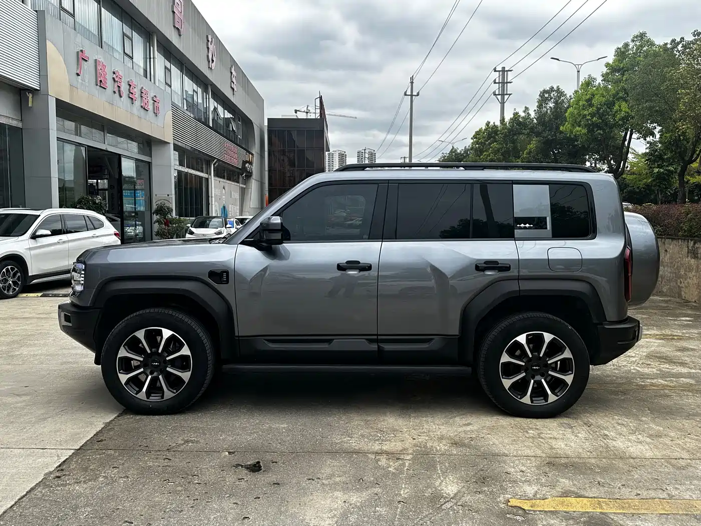 FANG CHENG BAO LEOPARD 5