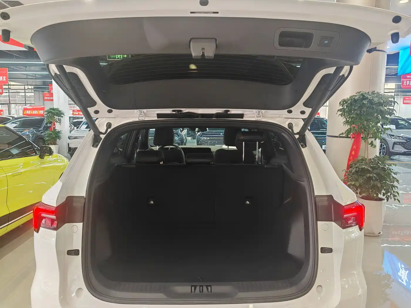 FORD LING RUI