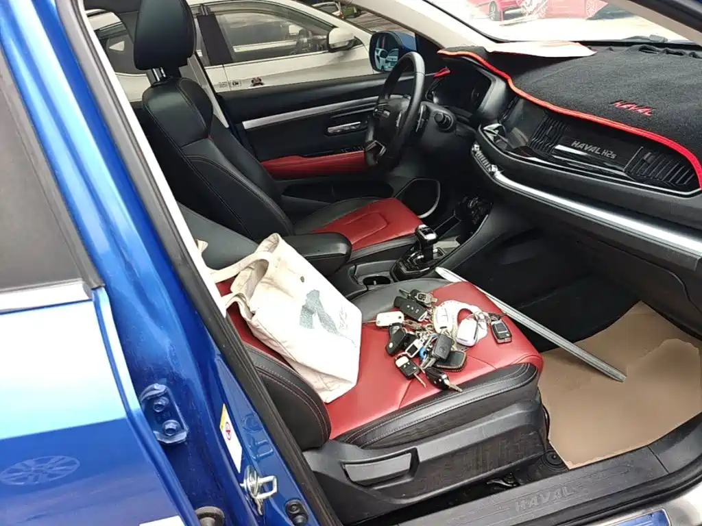 Фото 25 - Haval H2s
