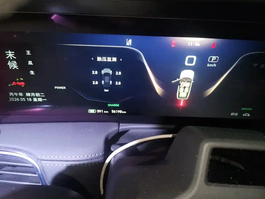 Hongqi E-HS9 2022 660km Qi Chang Edition (6-seater) фото 14
