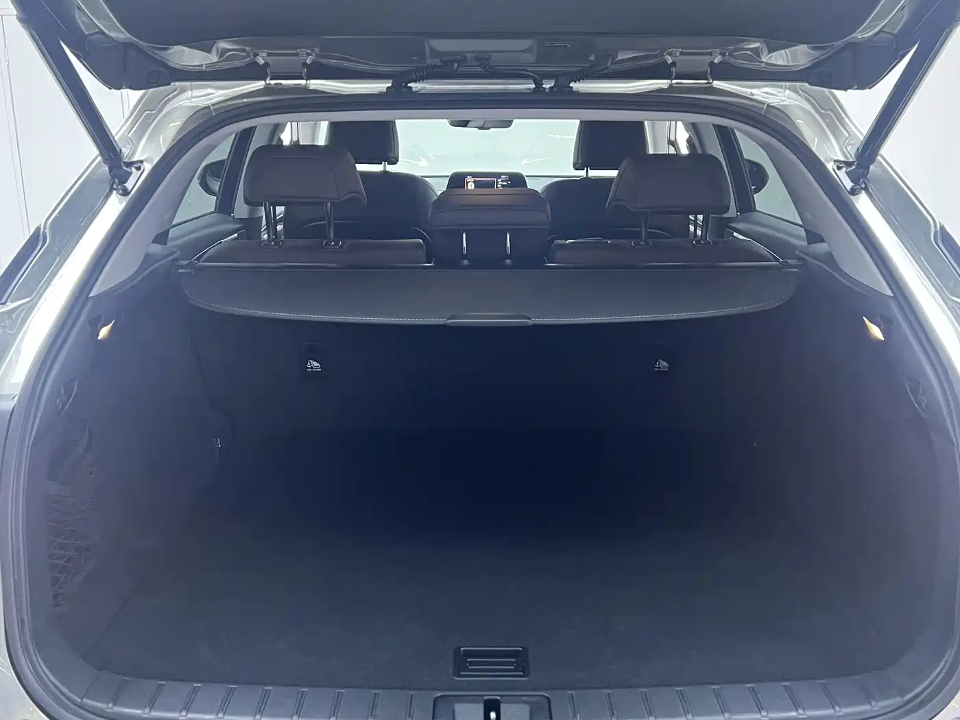 Lexus RX 2021 300 AWD Special Edition фото 31