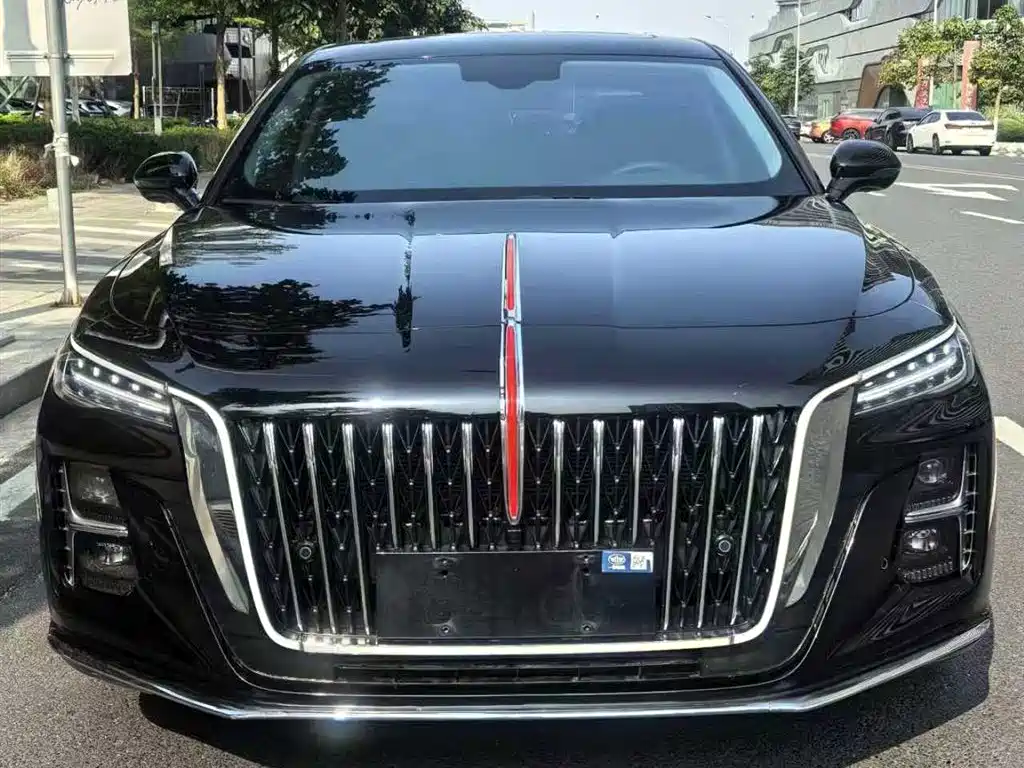 Hongqi H5 2024 2.0T Automatic Smart Connect Flag Enjoy Edition фото 2