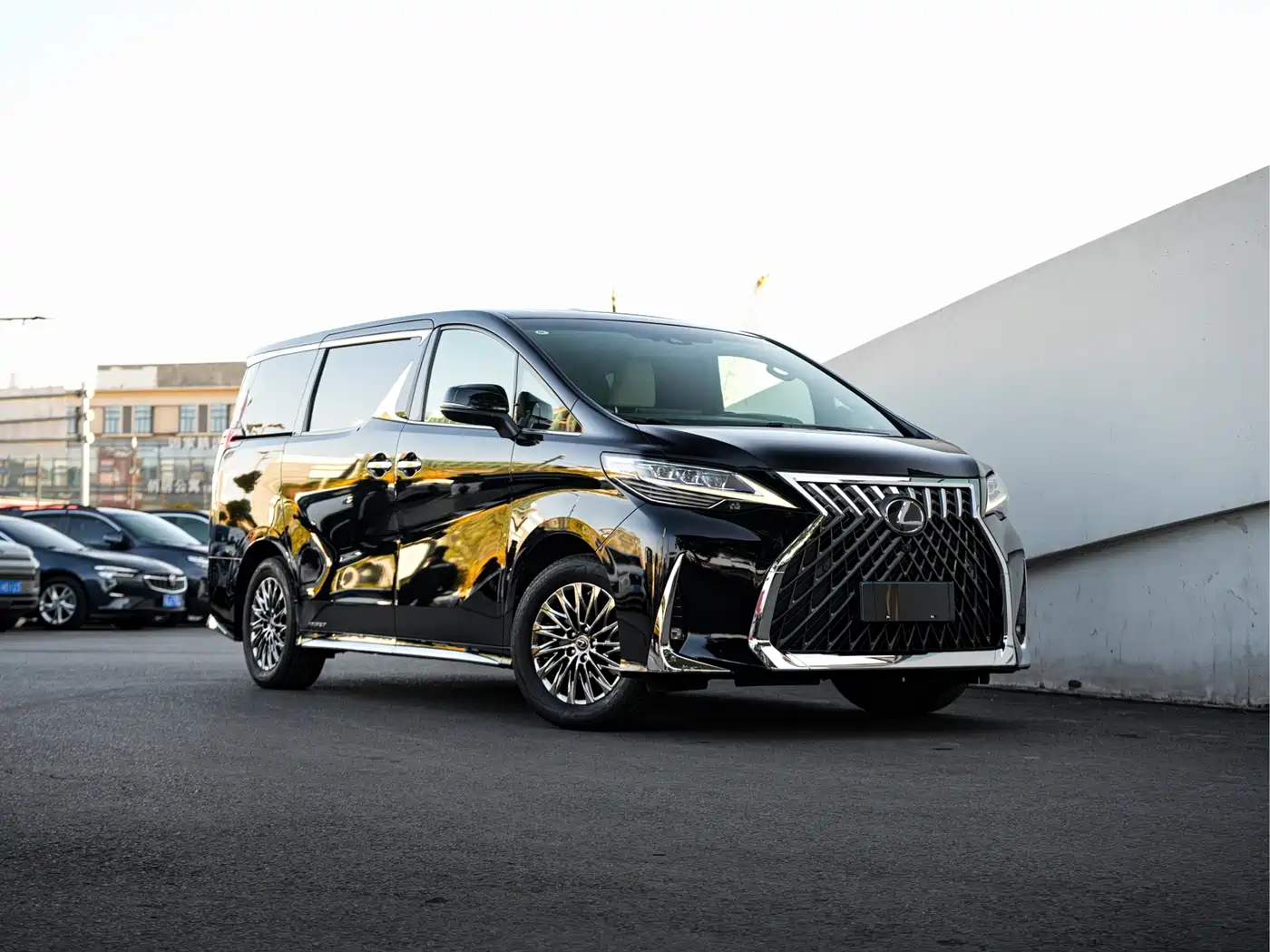 Lexus LM 2020 300h 4-Seat Imperial Edition фото 3