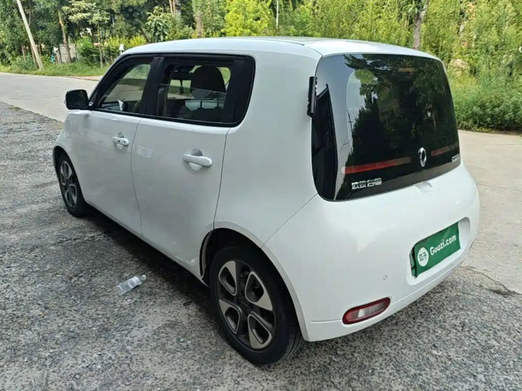 Ora White Cat 2021 2020 401km Flagship Model