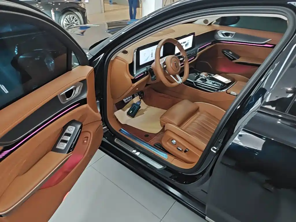 Hongqi H9 2025 2024 2.0T Qi Enjoy Private Fashion Edition
