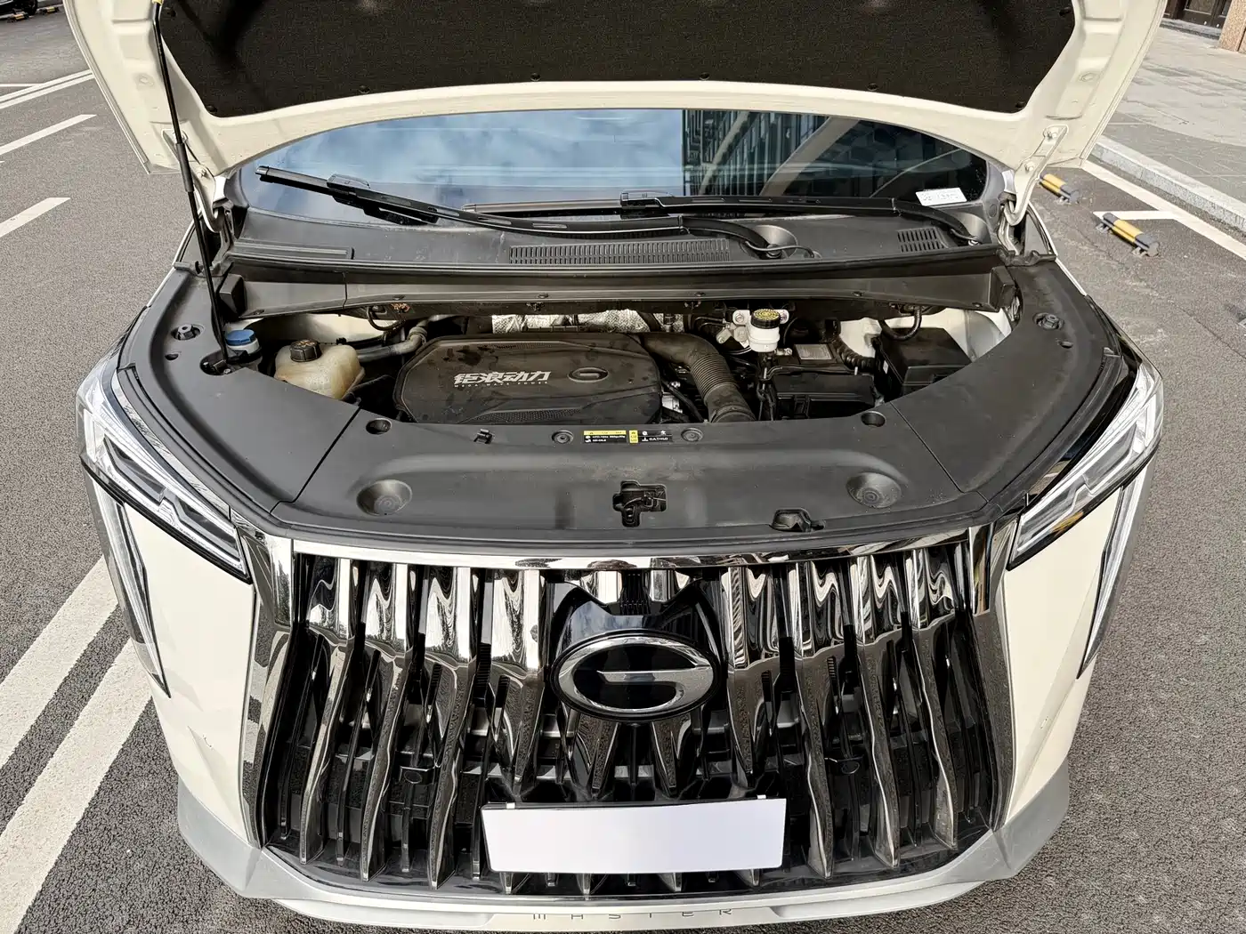 GAC Trumpchi Trumpchi M8 2023 Model Master Series 400T Flagship Edition фото 16