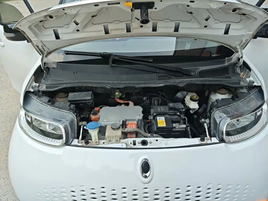 Ora White Cat 2021 2020 401km Flagship Model