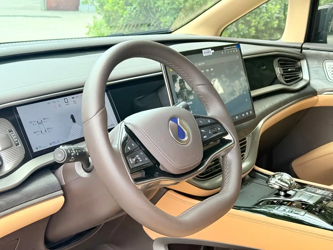 Denza D9 2025 2025 DM-i Smart Driving Edition 1020 AWD Flagship