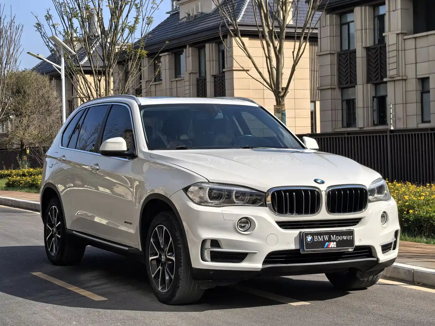 BMW X5 (Import) 2014 xDrive35i Leading фото 3