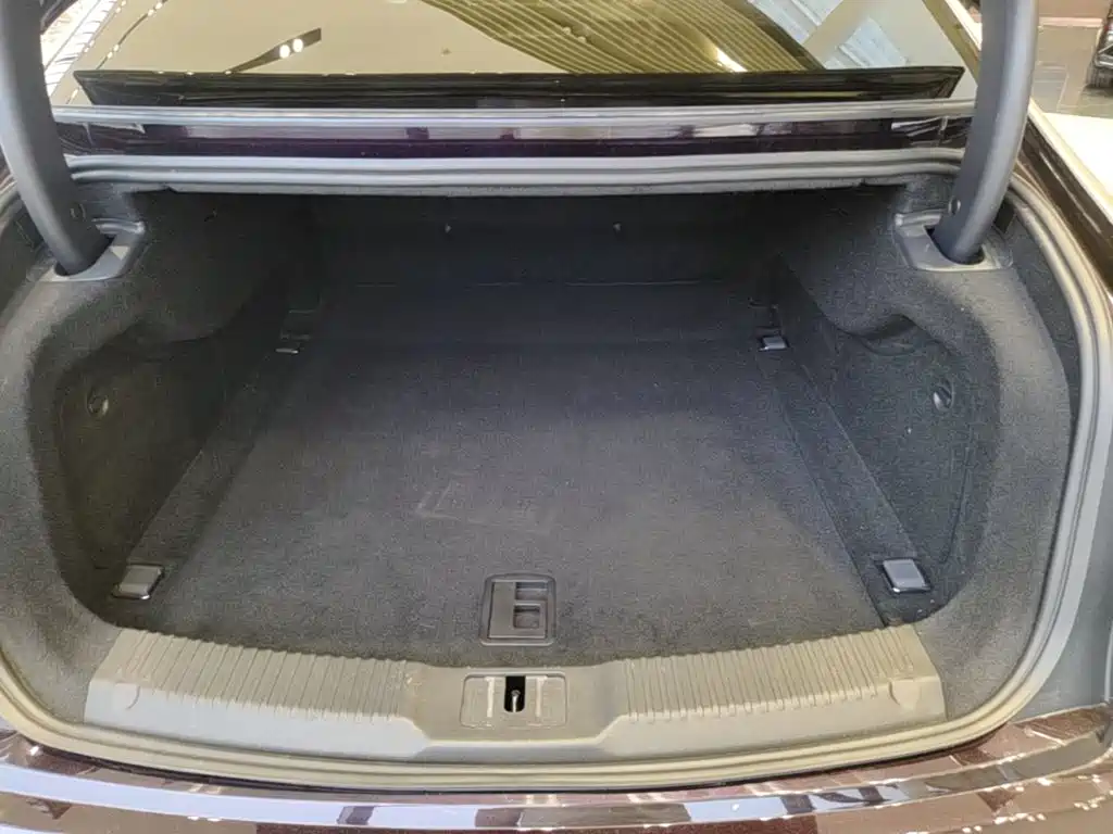 Фото 15 - Hongqi H9