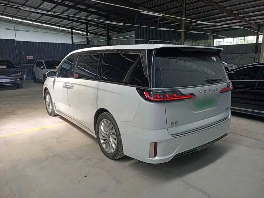 Фото 5 - Voyah Auto Voyah Dreamer