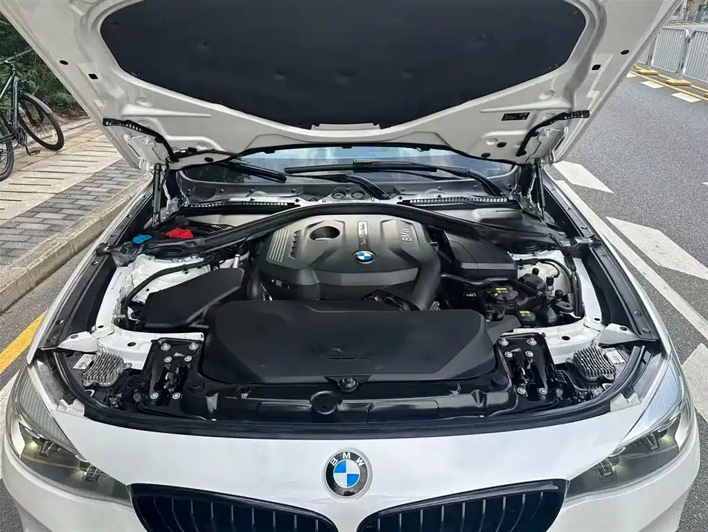 BMW 3 Series GT 2019 320i M Sport Black Night Edition фото 12